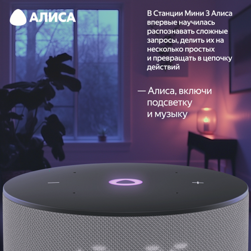 Умная колонка Яндекс Станция Мини 3 с Алисой, серый, 12Вт