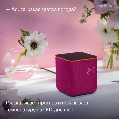 Умная колонка Яндекс Станция Миди с Алисой, с Zigbee, малиновый, 24Вт