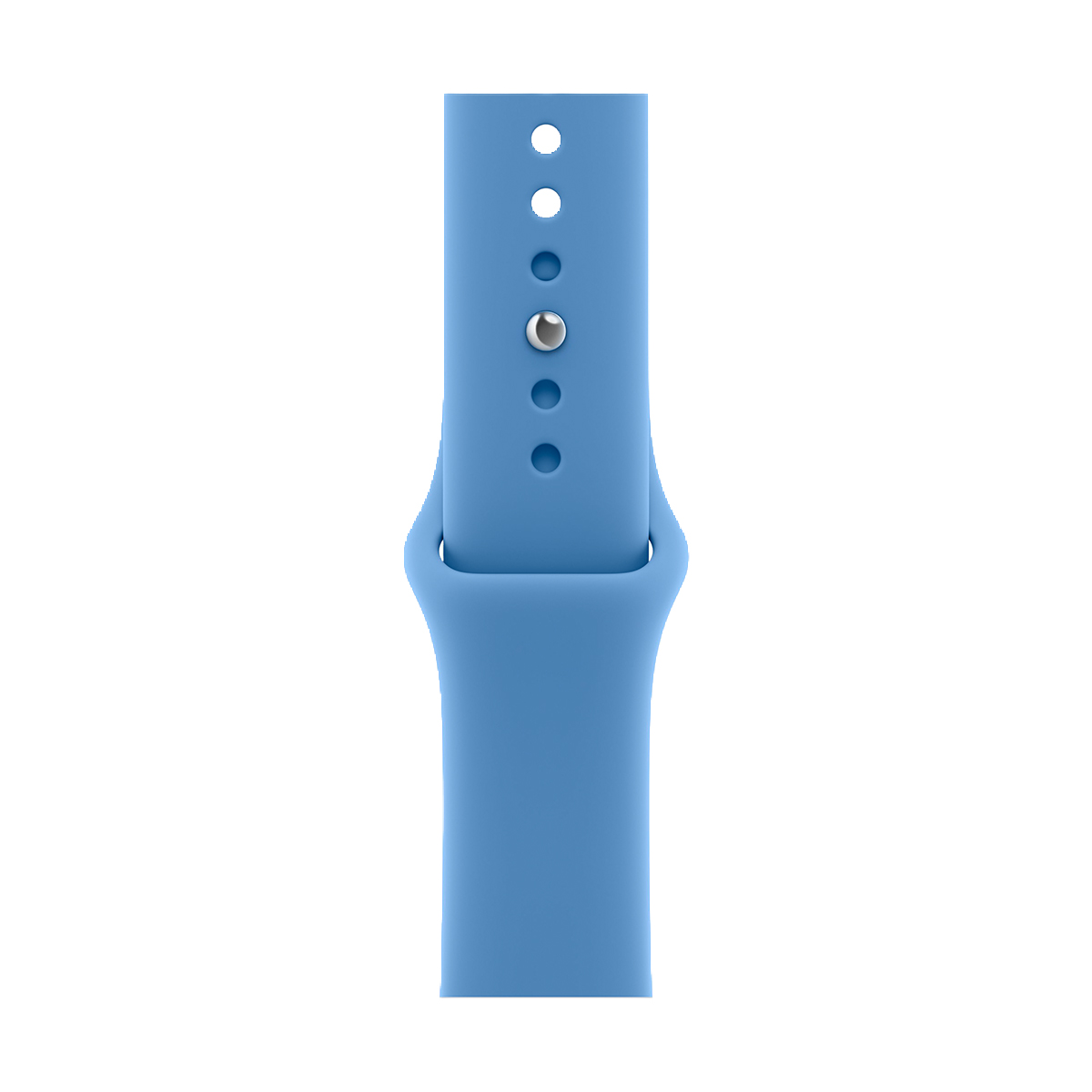 Купить apple watch series 12, 42 мм корпус из алюминия цвета «space gray», ремешок sport band размера m/l цвета «wildflower blue» с доставкой