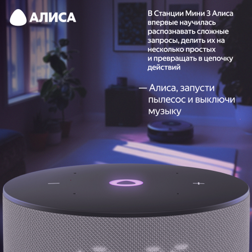 Умная колонка Яндекс Станция Мини 3 с Алисой, серый, 12Вт