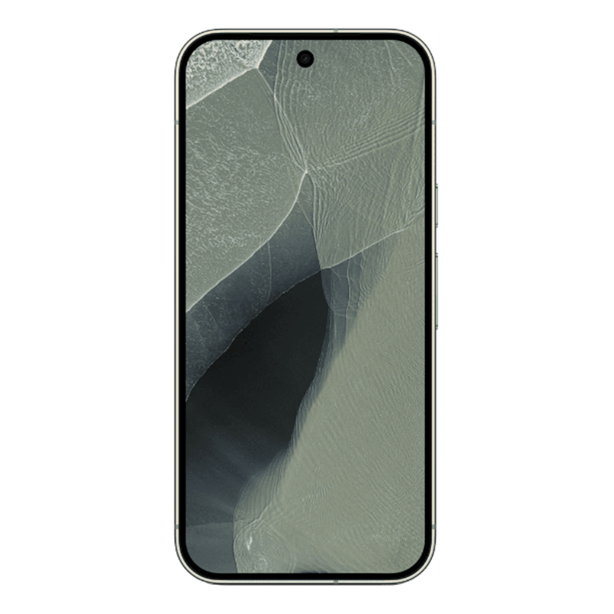 Google Pixel 11 Pro XL 12/256Gb Olive, оливковый