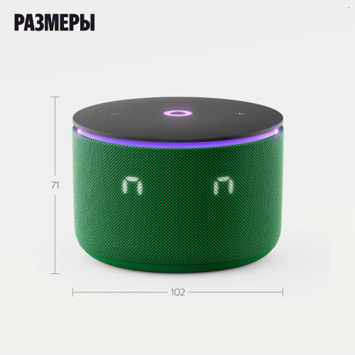 Умная колонка Яндекс Станция Мини 3 Про с Алисой, Zigbee, зеленый, 18 Вт