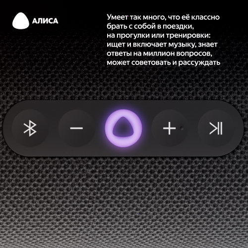 Умная портативная колонка Яндекс Станция Стрит с Алисой, чёрный, 30Вт