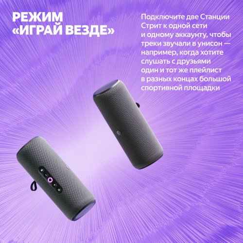 Умная портативная колонка Яндекс Станция Стрит с Алисой, чёрный, 30Вт