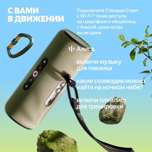 Умная портативная колонка Яндекс Станция Стрит с Алисой, серый, 30Вт