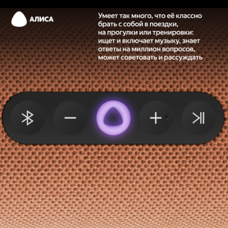 Купить умная портативная колонка яндекс станция стрит с алисой, оранжевый, 30вт в Самаре