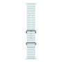 Купить apple watch ultra 2 (2024), 49 мм корпус из титана цвета «natural», ремешок ocean band цвета «ice blue» с доставкой