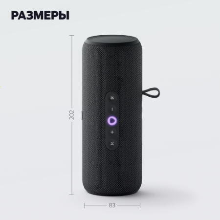 Купить умная портативная колонка яндекс станция стрит с алисой, чёрный, 30вт в Самаре