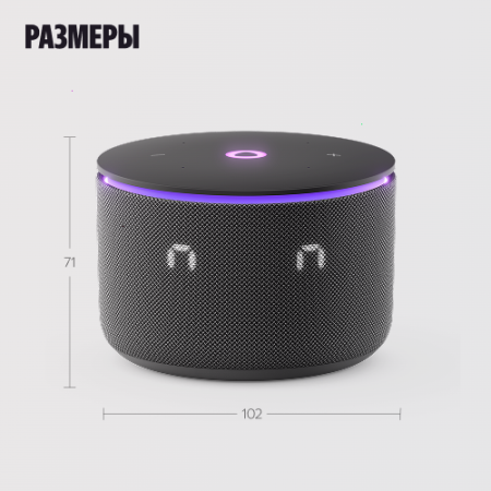 Купить умная колонка яндекс станция мини 3 про с алисой, zigbee, черный, 18 вт в Самаре