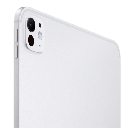 Купить apple ipad pro 11" (m5, 2025) wi-fi + cellular 256gb silver, серебристый с доставкой