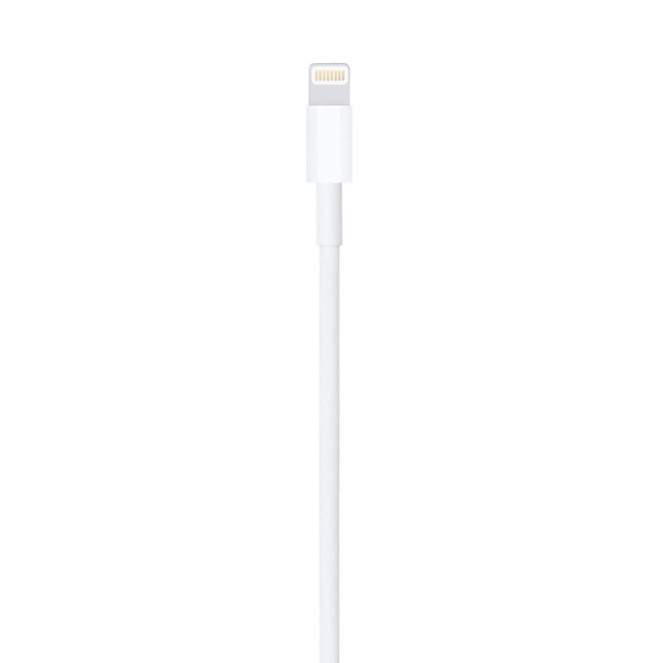 USB кабель Apple разъем Lightning, 2 м Белый