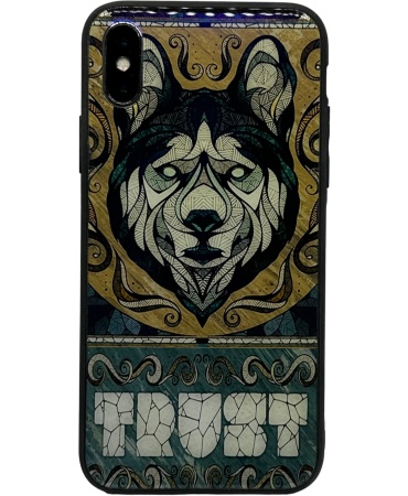 Чехол iPhone X/XS