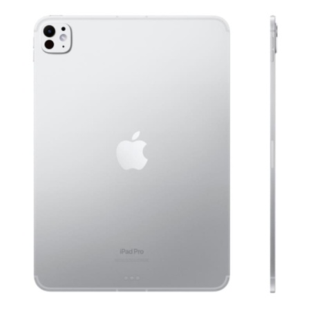 Купить apple ipad pro 11&quot (m4, 2024, 7 gen) wi-fi + cellular 1tb, нанотекстурное стекло, silver, серебристый с доставкой