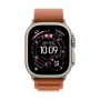 Купить apple watch ultra 3 (2025), 49 мм корпус из титана цвета «natural», ремешок alpine loop размера l цвета «terra cotta» с доставкой